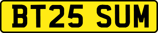 BT25SUM