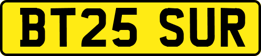 BT25SUR