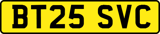 BT25SVC