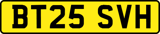 BT25SVH