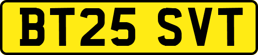 BT25SVT