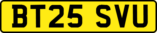 BT25SVU