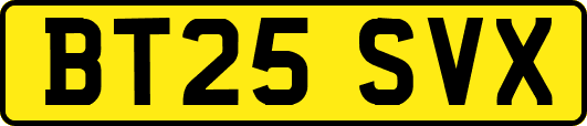 BT25SVX