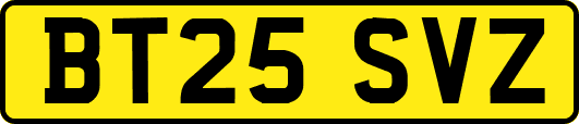 BT25SVZ