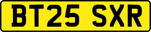 BT25SXR