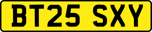 BT25SXY