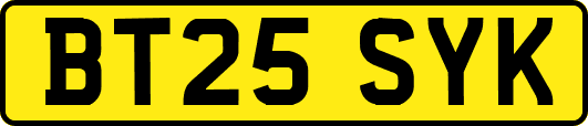 BT25SYK