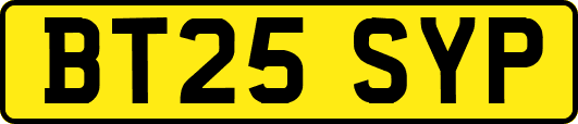 BT25SYP