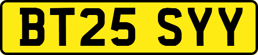 BT25SYY