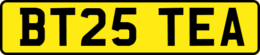 BT25TEA