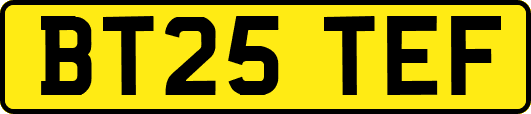 BT25TEF