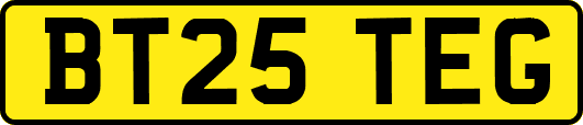 BT25TEG