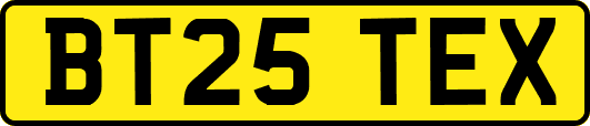 BT25TEX