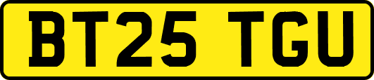 BT25TGU