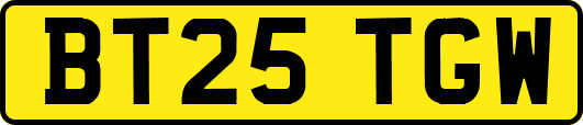 BT25TGW