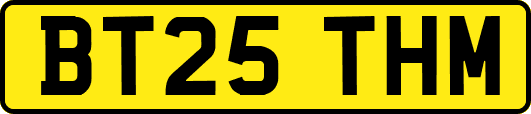 BT25THM