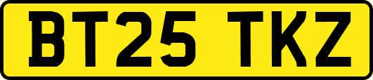 BT25TKZ