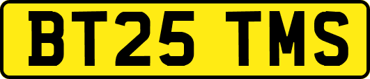 BT25TMS