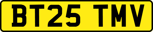 BT25TMV