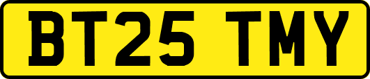 BT25TMY