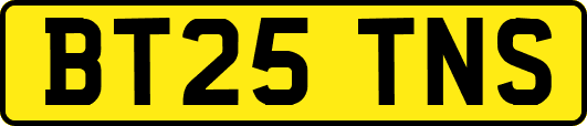 BT25TNS