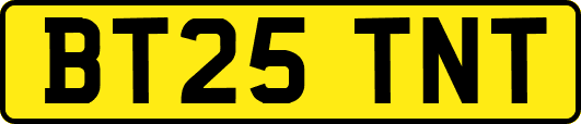 BT25TNT