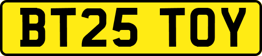 BT25TOY