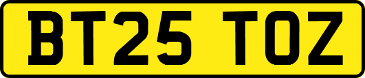 BT25TOZ
