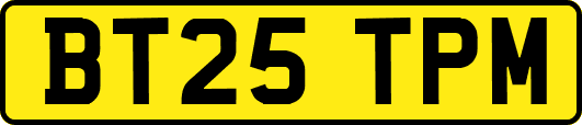 BT25TPM