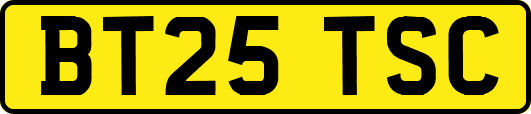 BT25TSC