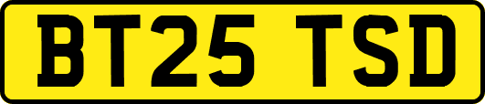 BT25TSD