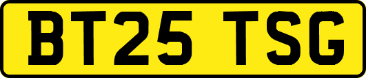 BT25TSG