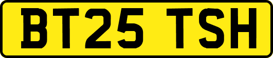 BT25TSH