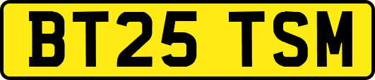 BT25TSM