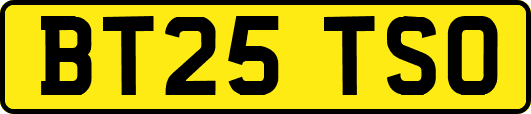 BT25TSO