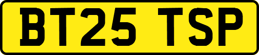 BT25TSP