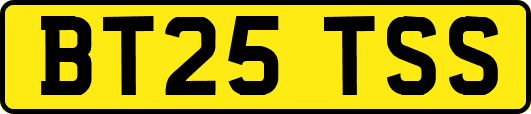 BT25TSS