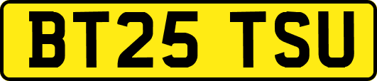 BT25TSU