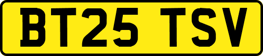 BT25TSV