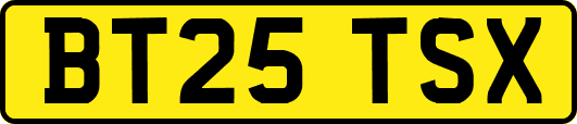 BT25TSX