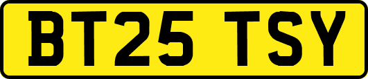 BT25TSY