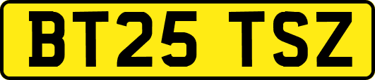 BT25TSZ