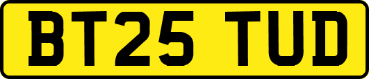 BT25TUD