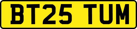 BT25TUM