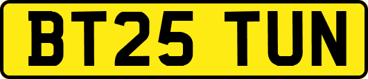 BT25TUN