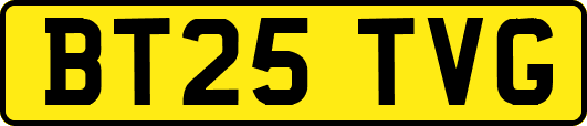 BT25TVG
