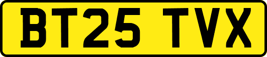 BT25TVX