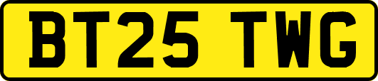 BT25TWG