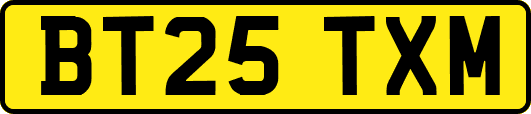 BT25TXM