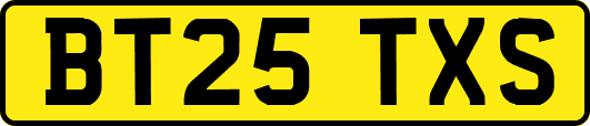 BT25TXS